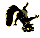 upsidedown squirrel