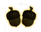 acorns
